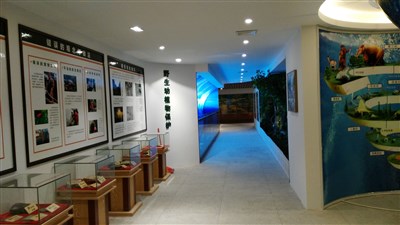 500平米展廳設(shè)計(jì)制作：現(xiàn)代/綠色，教育類展廳-桂林植物園科普展廳（免費(fèi)使用）